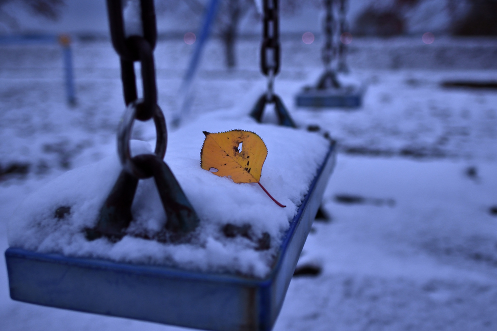 公園も雪景色