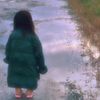 みずたまり
