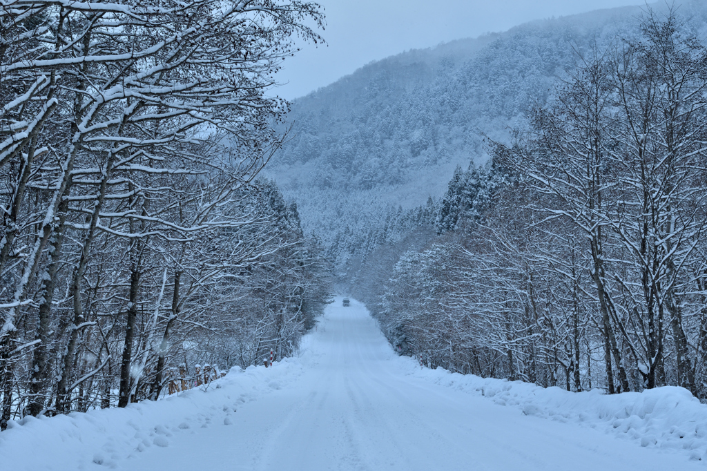 雪道