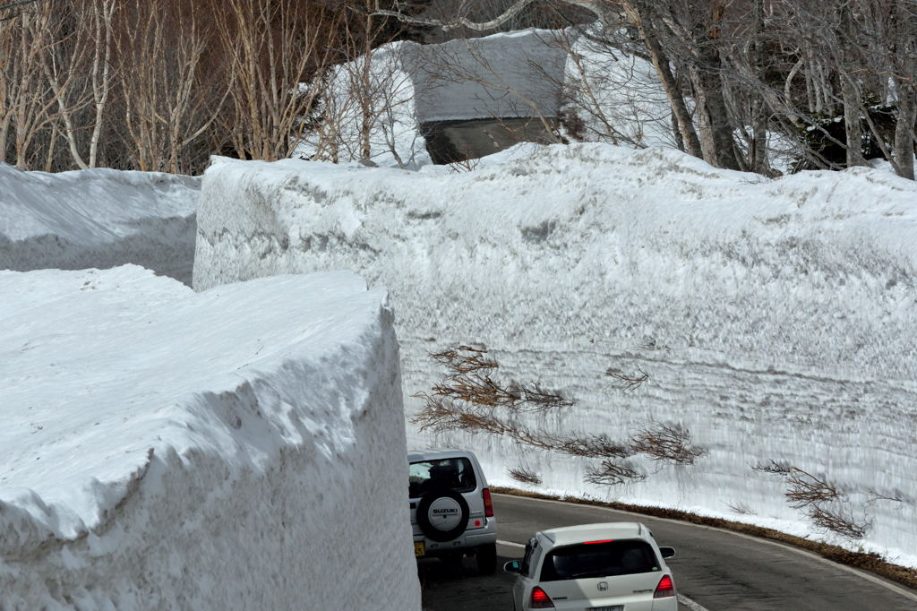雪の壁