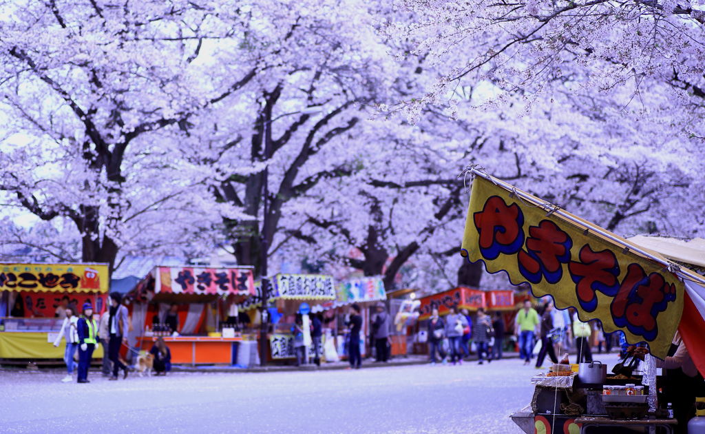 花より団子