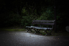 円山公園のベンチ