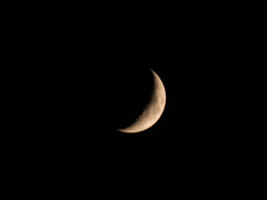 初めて撮った月