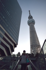 上へ上へ