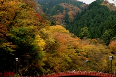 紅い橋