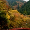 紅い橋