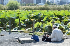 芸術の秋
