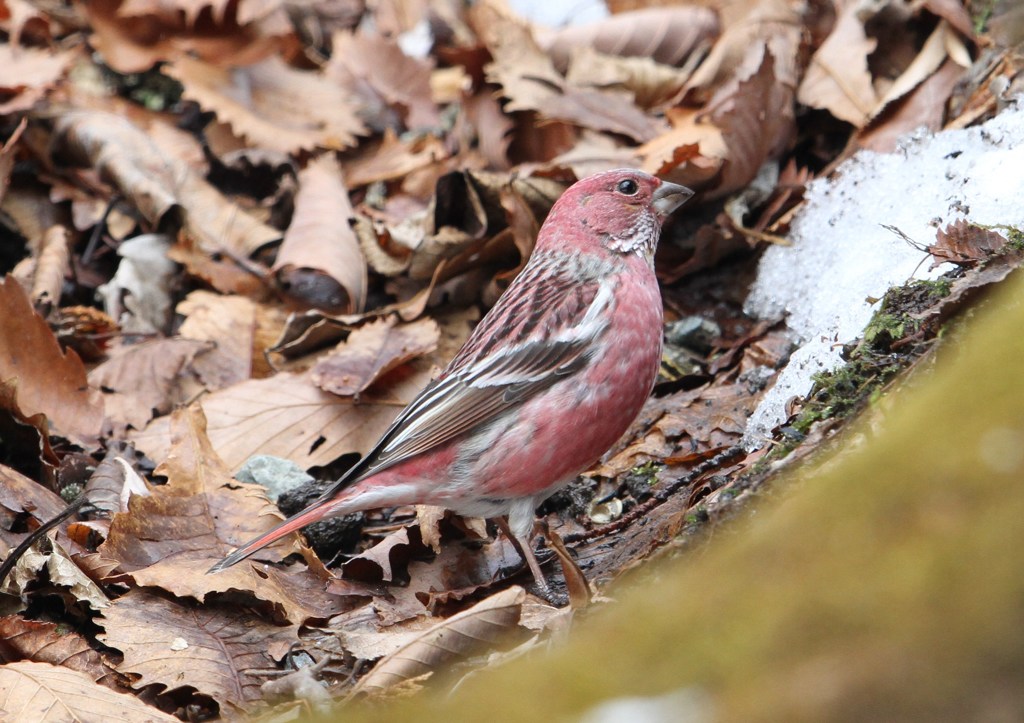 古いファイル整理していたら。