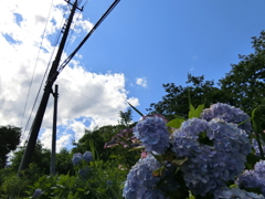 梅雨明け