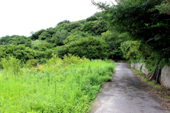男木島灯台への道