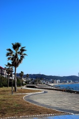 野比海岸4