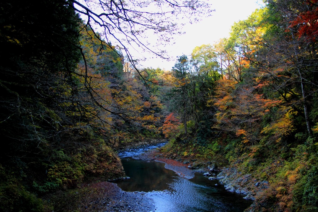 IMG_1675