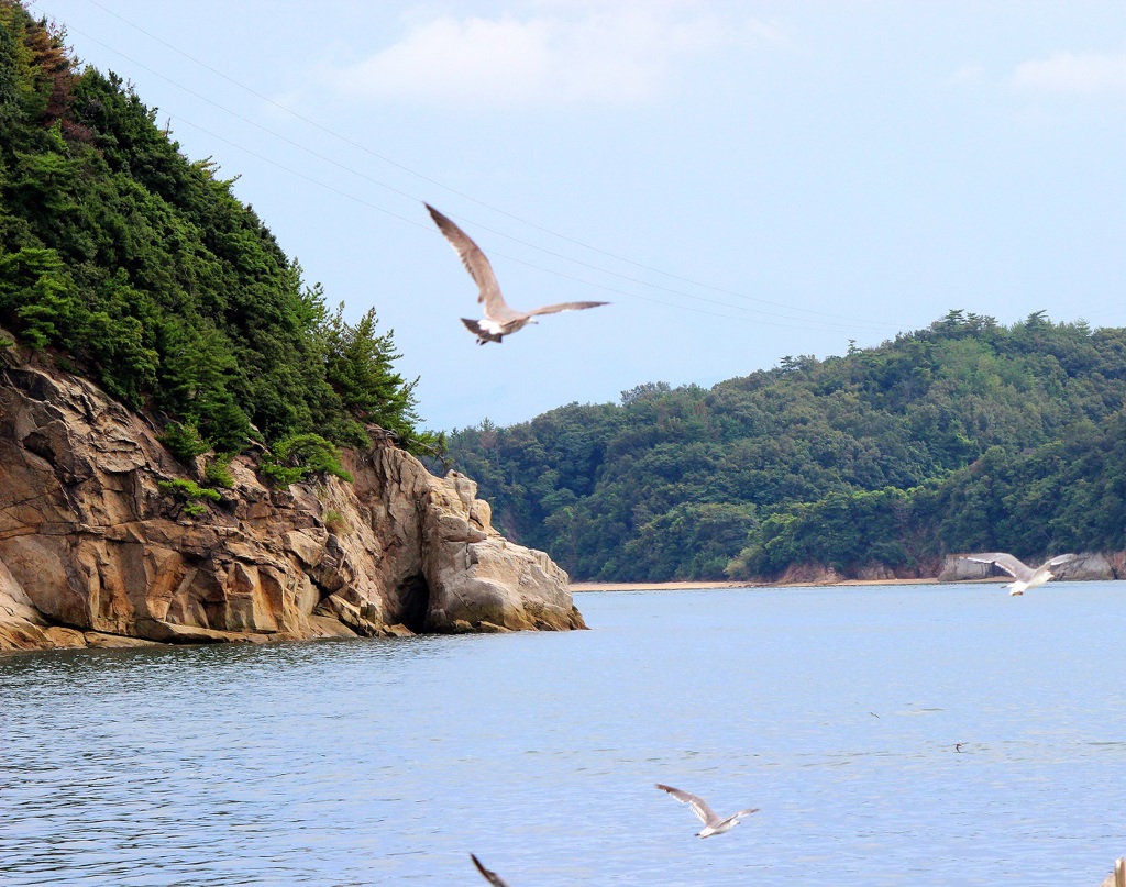 女木島港