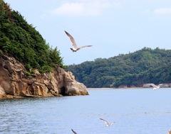女木島港