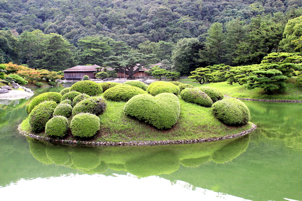 恋つつじ
