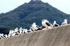 まったり