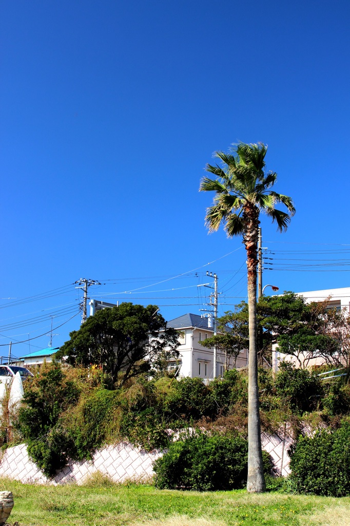 野比海岸5