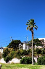 野比海岸5