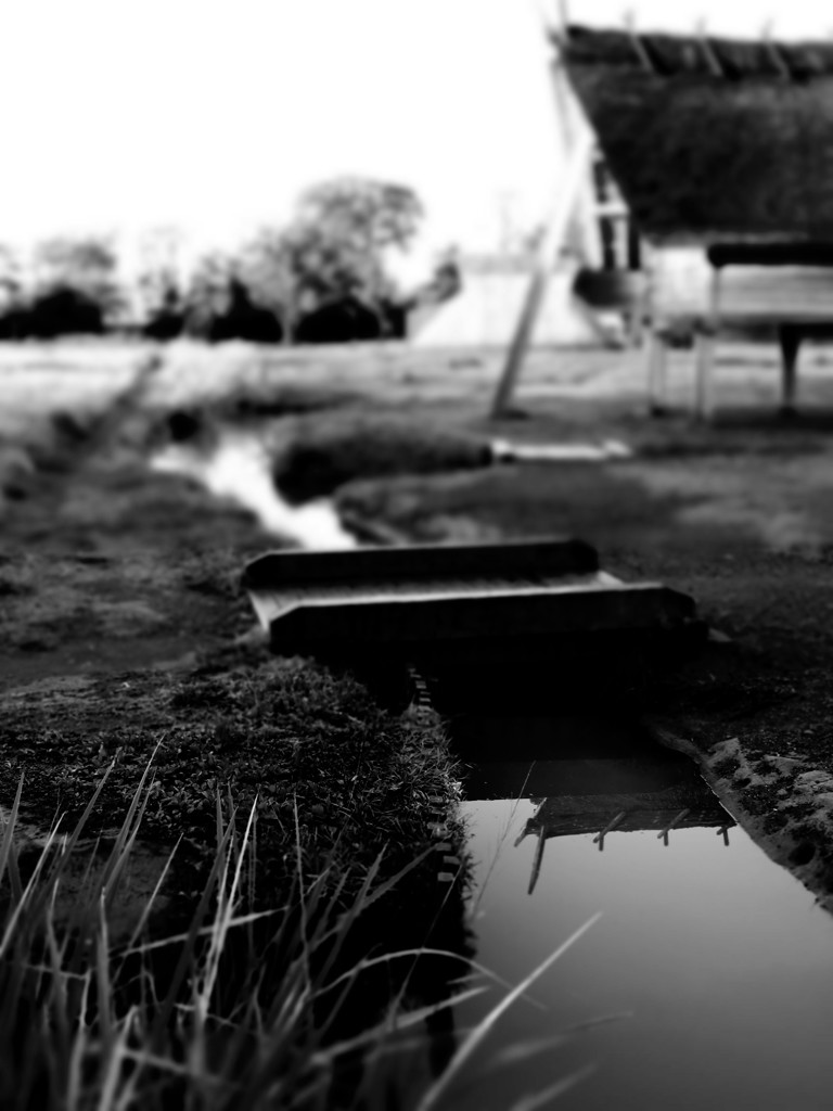 登呂遺跡１