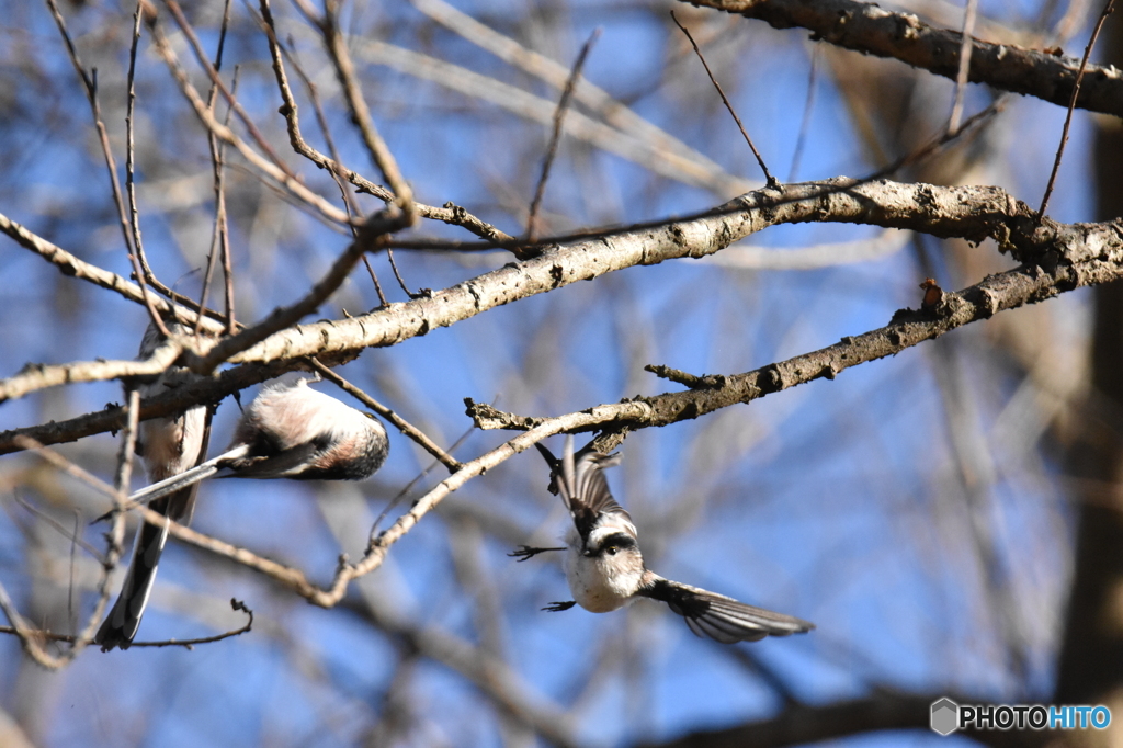 よく働き、よく遊び、よく食べて