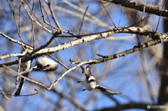 よく働き、よく遊び、よく食べて