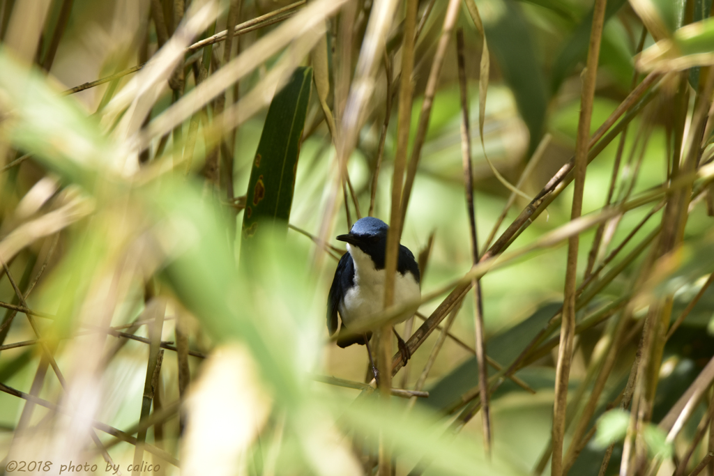 こんな場所が好き