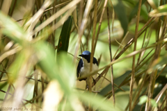 こんな場所が好き