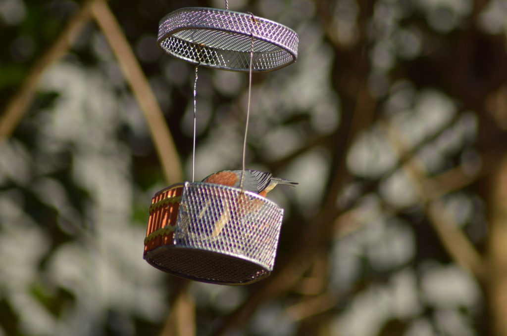  ～よく食べます(2)