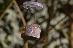  ～よく食べます(2)