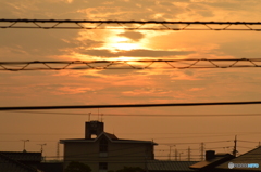 日の出