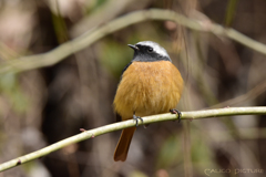 とにかく寒いんです とにかく寒いんです