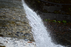 飛沫