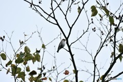 はじめまして！ ①