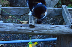 今日も届かない～