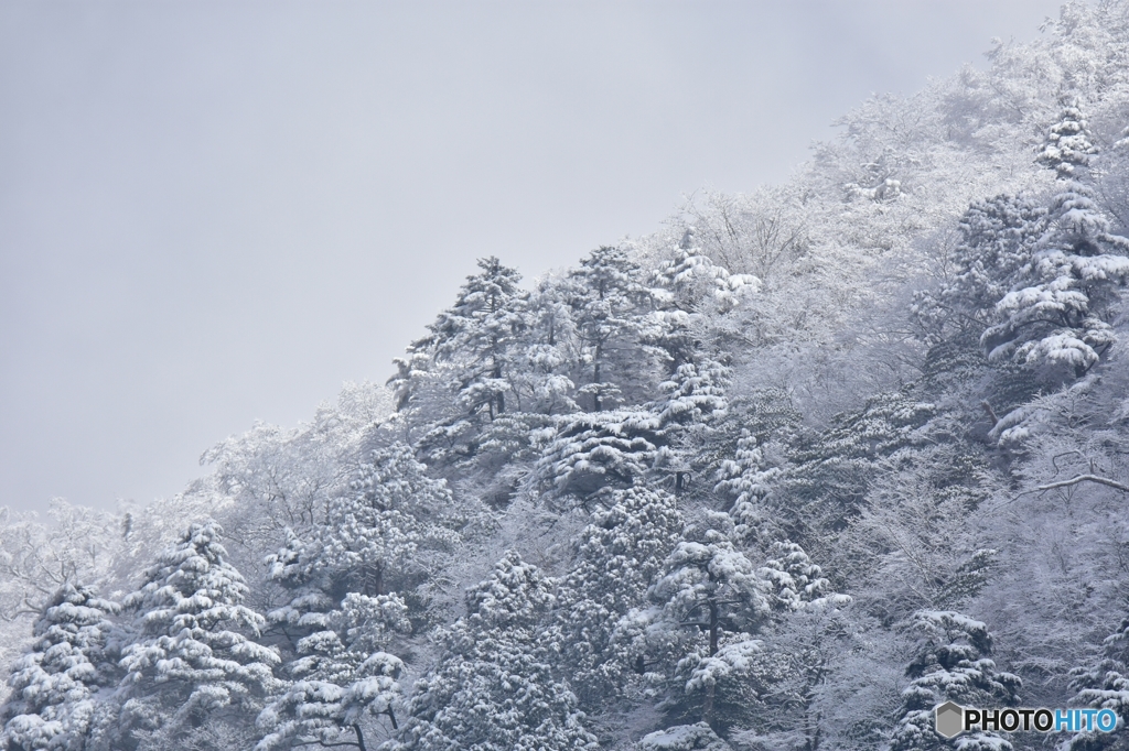 雪化粧