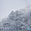 雪化粧