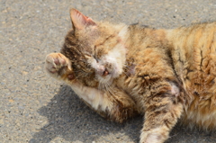 また会いに行くからね♪