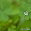 待ち遠しい梅雨明け