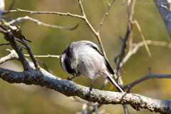 身だしなみチェック