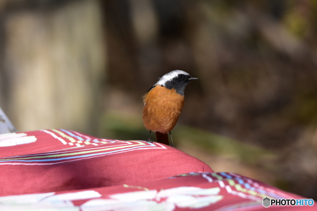 ちょっと お邪魔しますよ