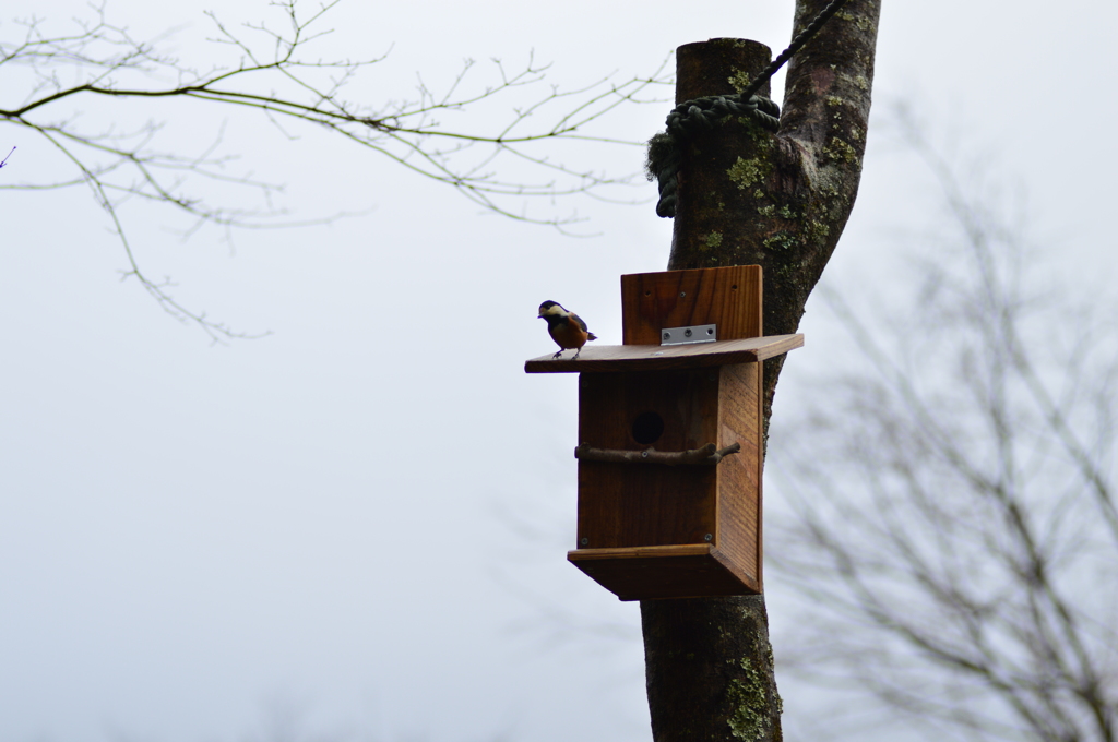 今日は天気悪いね…