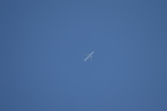 どこの機体でしょう…