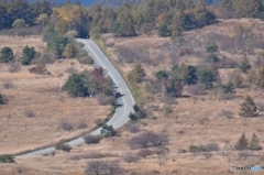 長野県道40号諏訪白樺湖小諸線