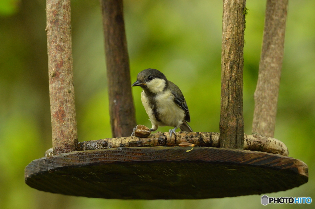  割り方がわからないの…