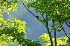 ちっちゃいね～