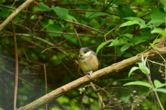 美味しくないな～
