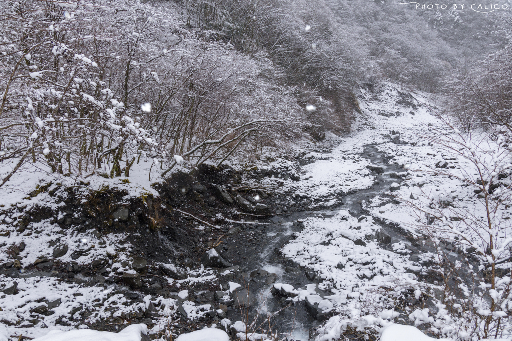 雪の渓流