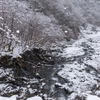 雪の渓流