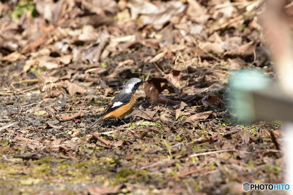 これは無理かな･･･