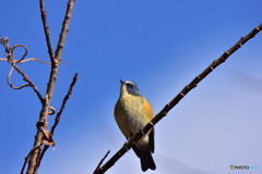 空よりも青く Ⅰ